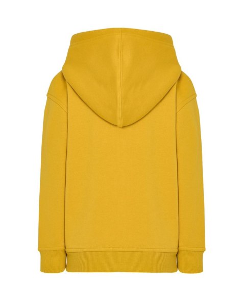 SWRK HOOD SY 5-6