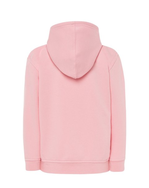 SWRK HOOD PK 1-2