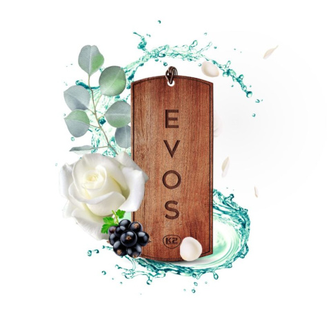 Zapach do auta damski zawieszka drewniana EVOS GRACE Gaia K2