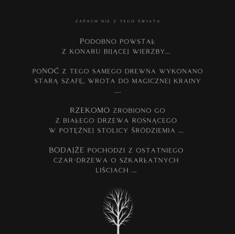 Zapach do auta zawieszka drewniana EVOS Boss K2