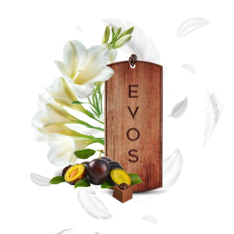 Zapach do auta damski zawieszka drewniana EVOS GRACE Angel K2