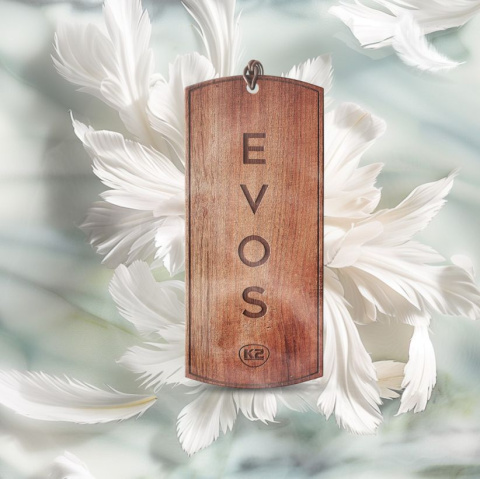 Zapach do auta damski zawieszka drewniana EVOS GRACE Angel K2