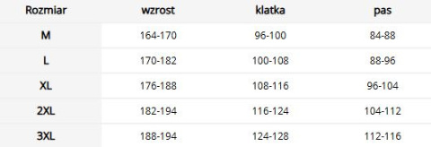 Bezrękawnik roboczy zimowy - z odblaskami, kołnierz z polarem, 4 kieszenie REIS
