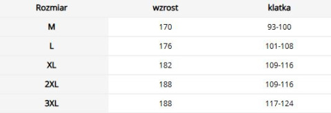 Bluza robocza antyelektrostatyczna ESD - z kieszeniami, zapinana na napy REIS