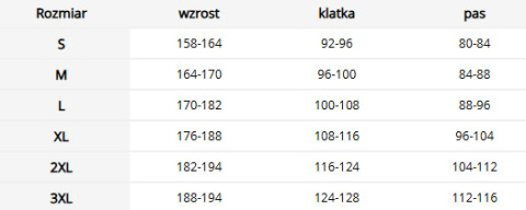 Bluza ochronna męska BAX - 3 kieszenie, elastyczna, odblaski REIS