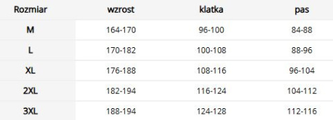 Kombinezon roboczy zimowy - wiatro- i wodoodporny, 7 kieszeni REIS