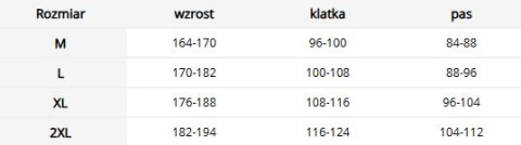 Koszulka termo BERGEN - sportowa, oddychająca REIS