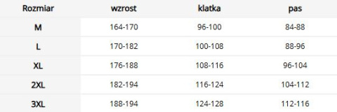 Ocieplany bezrękawnik męski z kapturem - do pracy i na co dzień REIS