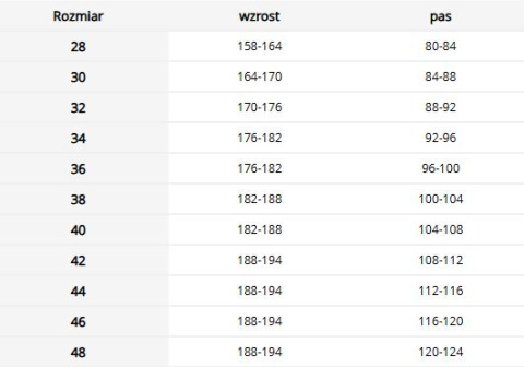 Elastyczne spodnie robocze do pasa - Komfort i swoboda REIS