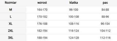 Męski bezrękawnik ocieplany z ogrzewaniem USB - 4 strefy REIS