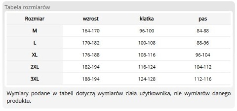 Koszulka Męska z Długim Rękawem 100% Bawełna | Longsleeve 170g | Pod Nadruk REIS