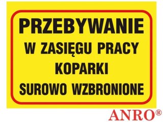 ZNAK BEZPIECZEŃSTWA ANRO