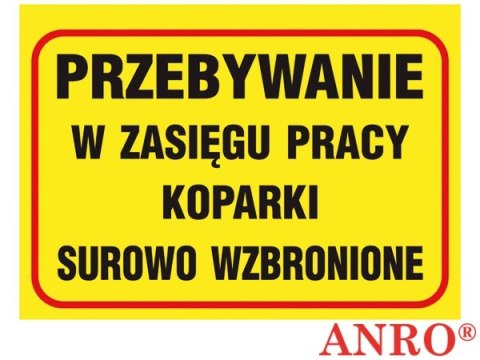 ZNAK BEZPIECZEŃSTWA ANRO