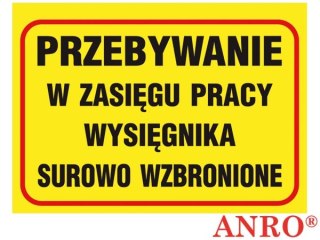 ZNAK BEZPIECZEŃSTWA ANRO