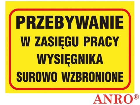ZNAK BEZPIECZEŃSTWA ANRO
