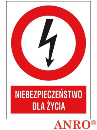 ZNAK BEZPIECZEŃSTWA ANRO