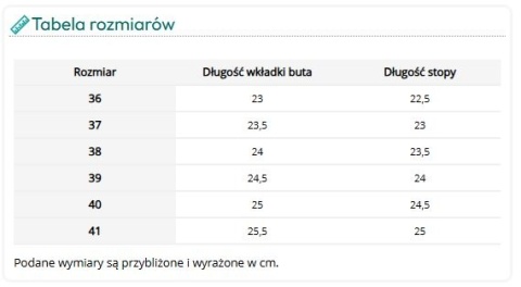 Sportowe Buty Robocze / Półbuty SOFI (Tekstylne, Wciągane ze Ściągaczem)