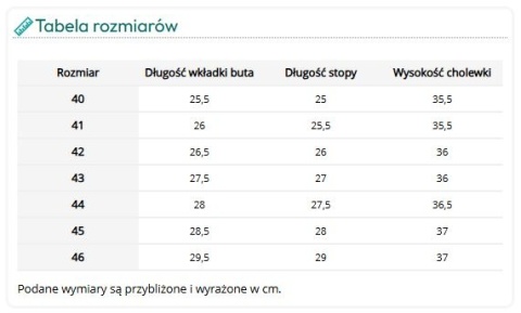 Gumowe Buty Zawodowe Antyelektrostatyczne 6189 O4 FO SRC – Górnictwo i Przemysł Ciężki
