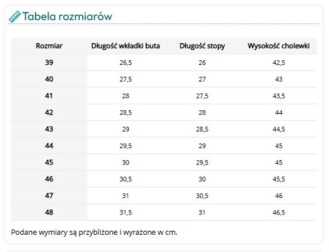 Bezpieczne Buty PCV z Podnoskiem 13148 SB E FO SRC – Odblaskowe Kalosze Robocze z Kołnierzem