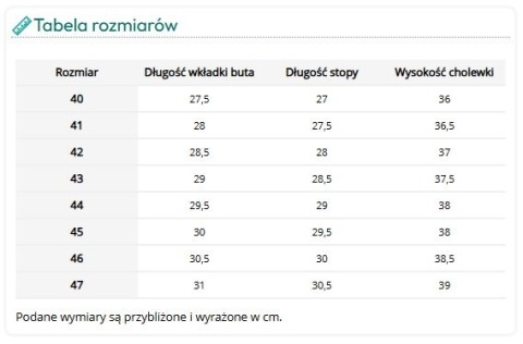 Górnicze Buty Zawodowe Antyelektrostatyczne 13157/A O4 FO SRC – PCV z Opinią Instytutu