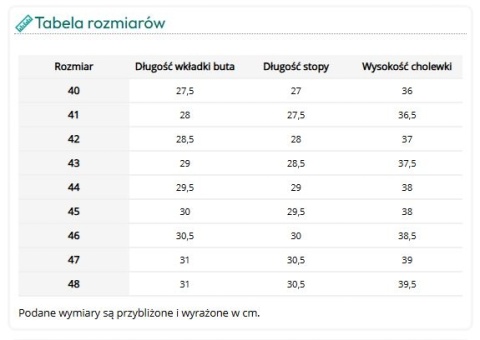 Klasyczne Buty Zawodowe PCV 13157 OB E FO SRC – Wodoszczelne Kalosze Robocze