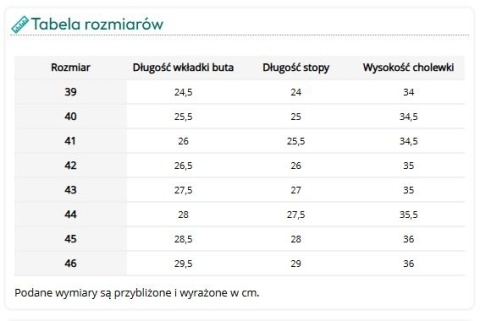 Buty Filcowe Ocieplane 6250 BORYNA OB FO CI SRC – Gumowo-Filcowe Obuwie Robocze